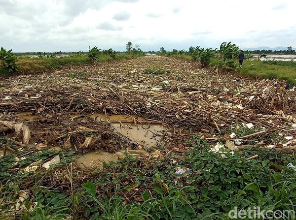 Miris! Bukan Cuma Air, Sungai Piji Kudus Juga Penuh Sampah