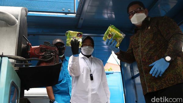 Momen Risma Ikut Musnahkan Barang Bukti Narkotika