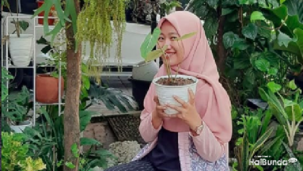 Novi Diah dan Koleksi Tanaman Hiasnya