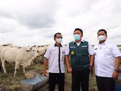 Gubernur Rekrut 100 PPL untuk Jadikan Sumsel Lumbung Daging Nasional