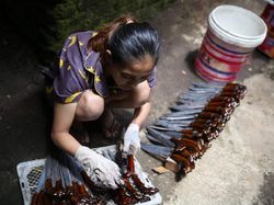 Di Kampung Ini Hanya Wanita yang Buat Ukiran Sarung Golok, Kenapa Ya?