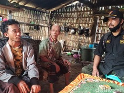 Pengakuan Pencari Porang yang Hilang di Hutan: Dijaga 4 Harimau Saat Tidur