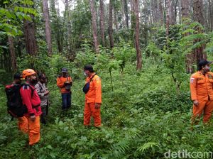 Pria Ini Ditemukan Selamat Usai 4 Hari Hilang di Hutan Saat Cari Porang