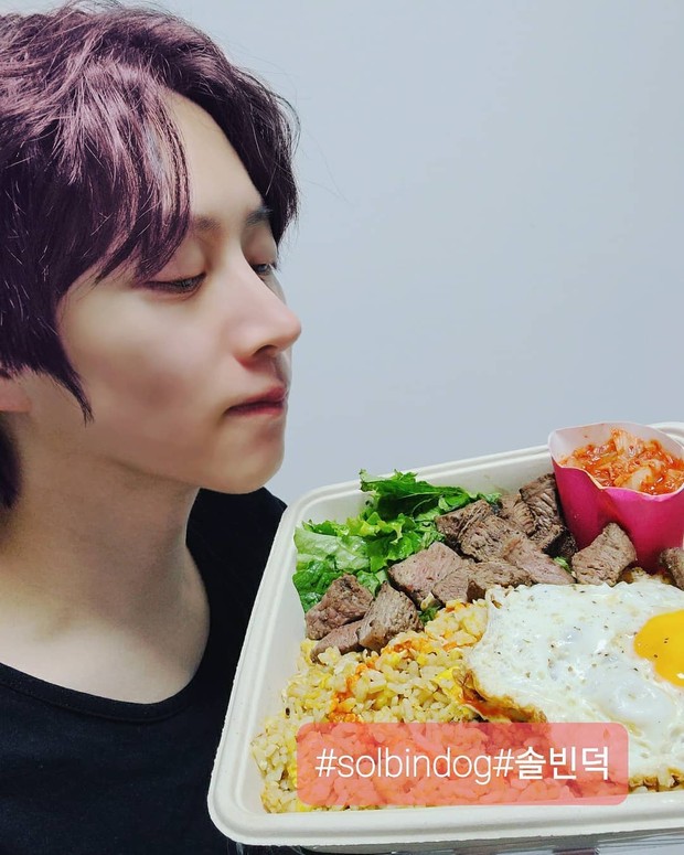 solbin superdog/sumber:instagram.com/solbindog/ solbin superdog