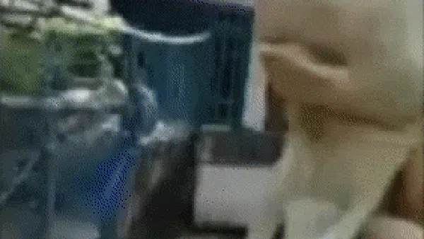 Potret Hiu Berwajah Mirip Manusia Bikin Heboh Warga NTT