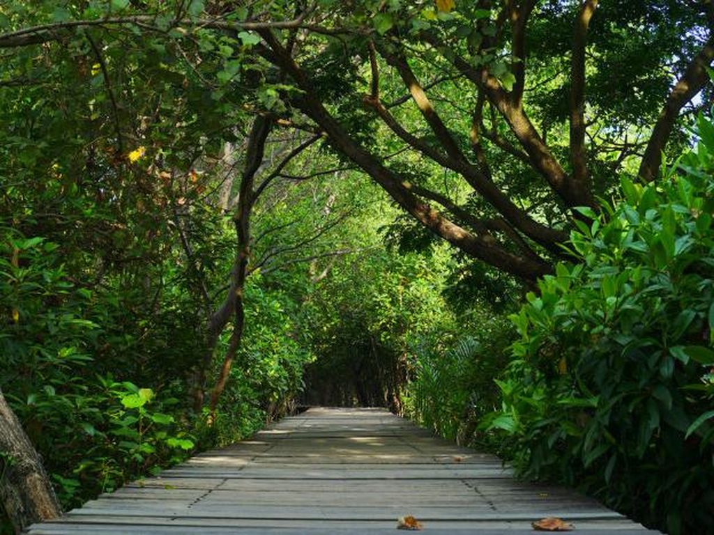 7 Hidden Gems Pulau Jawa, Cocok Dikunjungi Saat Staycation atau Virtual 7 Hidden Gems Pulau Jawa, Cocok Dikunjungi Saat Staycation atau Virtual