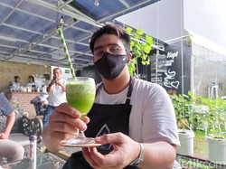 Di Green House Kopi Bisa Petik Sayuran Hidroponik dan Minum Jus Segar