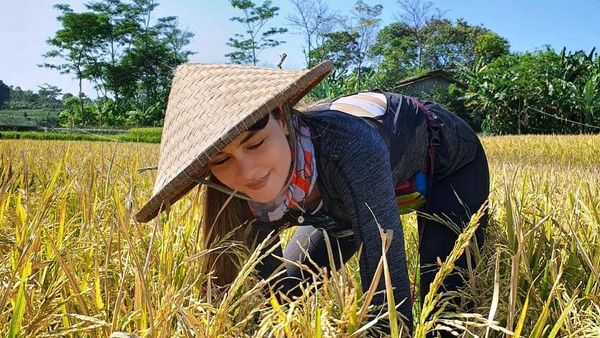 Keseruan Luna Maya Saat Panen Padi hingga Ngopi di Bali