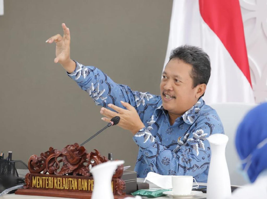 Menteri KKP Minta Sertifikat MSC Tuna & Cakalang Dipertahankan Menteri KKP Minta Sertifikat MSC Tuna & Cakalang Dipertahankan