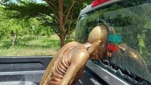 Kumpulan Gambar yang Bikin Emosi, tapi Lucu