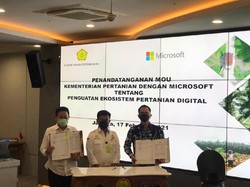 Gandeng Kementan, Microsoft Bikin Solusi Bertani dengan Teknologi
