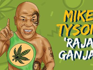 Mike Tyson, Berharta Rp 5,04 M/Bulan dari Kerajaan Ganja