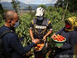 Merawat Daya Saing Ekonomi Daerah