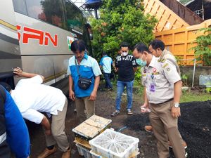 Ratusan Burung Ilegal Asal Bengkulu Diamankan di Kawasan Merak Cilegon Ratusan Burung Ilegal Asal Bengkulu Diamankan di Kawasan Merak Cilegon