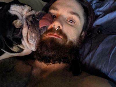 Tingkah Anjing yang Bikin Kesal tapi Menggemaskan