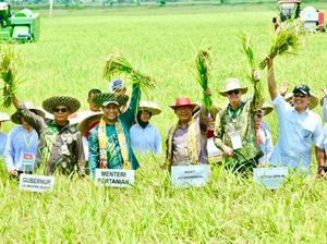 Ketua MPR Wanti-wanti Dampak Perubahan Iklim ke Ketahanan Pangan