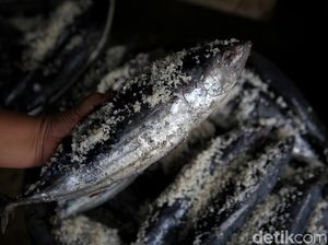 Raup Untung Belasan Juta Lewat Bisnis Olahan Ikan Pindang Raup Untung Belasan Juta Lewat Bisnis Olahan Ikan Pindang