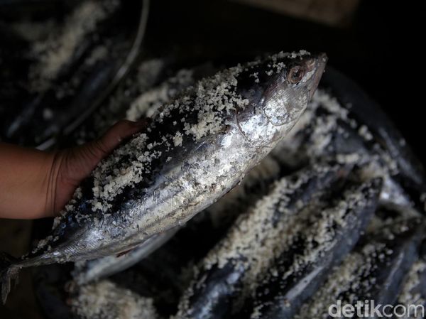 Raup Untung Belasan Juta Lewat Bisnis Olahan Ikan Pindang