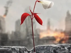 Trailer Musim ke-4 The Handmaids Tale Rilis Perdana, Pemberontakan Dimulai