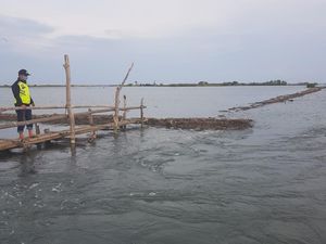 Tanggul Jebol, 125 Ha Tambak di Polman Terancam Tenggelam