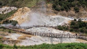 Jumlah Wisatawan ke Dieng Turun 70 Persen