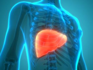 Awas Bukan Masuk Angin! Ini 5 Tanda Liver Lemah Awas Bukan Masuk Angin! Ini 5 Tanda Liver Lemah