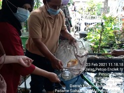 Ketahanan Pangan Budidaya Ikan Ala Kampung Tangguh Jaya di Jakpus