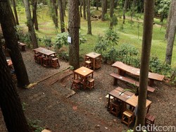Ngopi Asyik di Tengah Hutan Pinus Bandung, Ini Tempatnya