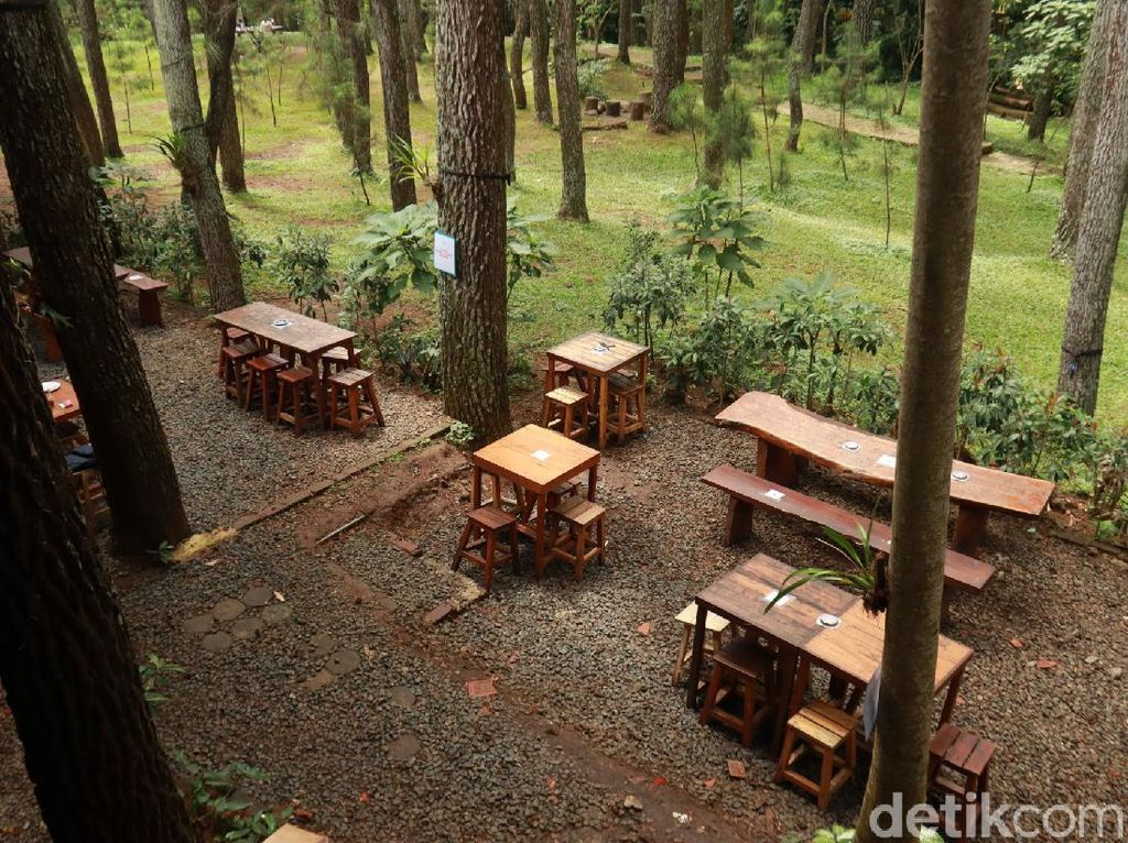 Foto Tempat Ngopi Adem di Bandung, Mejanya di Bawah Pohon Pinus