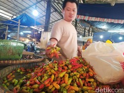 Tembus Rp 110 Ribu/Kg, Harga Cabai Rawit di Cianjur Setara Daging Sapi