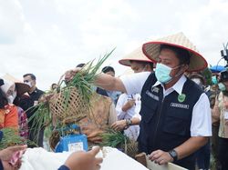 Gerakan Sumsel Mandiri Pangan: Upaya Wujudkan Visi Ketahanan Pangan Nasional
