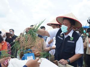 Gerakan Sumsel Mandiri Pangan: Upaya Wujudkan Visi Ketahanan Pangan Nasional