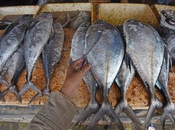 Ada Fasilistas Kredit Modal Buat UMKM Aceh, Bagaimana Cara Dapatnya?