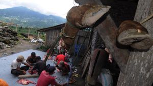 Warga Kaki Gunung Merapi Gelar Tradisi Potong Sapi