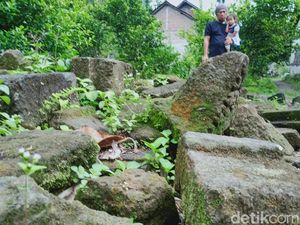 Duh! Ratusan Batu Candi Dipindahkan ke Pekarangan Warga di Klaten Duh! Ratusan Batu Candi Dipindahkan ke Pekarangan Warga di Klaten