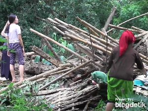 Belasan Rumah dan Hewan Ternak Warga Lumajang Tertimbun Longsor, 37 KK Mengungsi