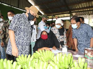 Ekspor Pisang 64 Ton/Bulan, Koperasi di Lampung Dipuji Menkop UKM