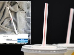 Gokil! Sedotan Plastik McD Ini Dijual Rp 99 Juta di Internet