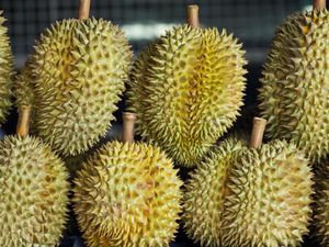 Tertipu Beli Durian Palsu, Turis Ini Pukul Penjual Pakai Timbangan Tertipu Beli Durian Palsu, Turis Ini Pukul Penjual Pakai Timbangan