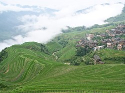 Begini Rencana China Kendalikan Pencemaran Tanah dan Air Desa