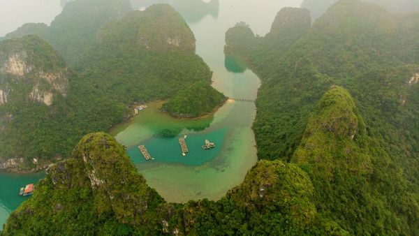 Foto: Desa Terapung Tersembunyi di Balik Ha Long Bay