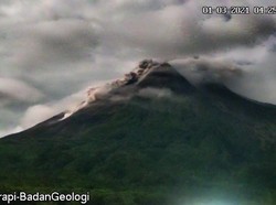 Merapi Luncurkan 52 Kali Guguran Lava Pijar, 1 Kali Awan Panas