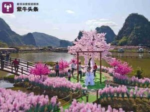 Demi Balikan Sama Mantan, Pria Ini Persembahkan Pulau Buatan