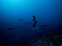 Berapa Lama Manusia Bisa Menahan Napas di Bawah Air?