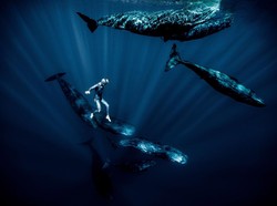 Terbang di Bawah Air Bersama Legenda Penyelam Bebas