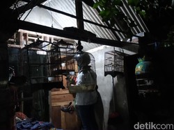 Ada Senjata Laras Panjang dalam Rumah Terduga Teroris di Surabaya