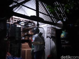 Lagi, Terduga Teroris di Surabaya Ditangkap Densus 88 Antiteror