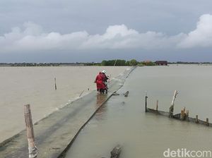Jalan Langganan Terendam Rob, Dukuh di Demak Ini Minta Relokasi