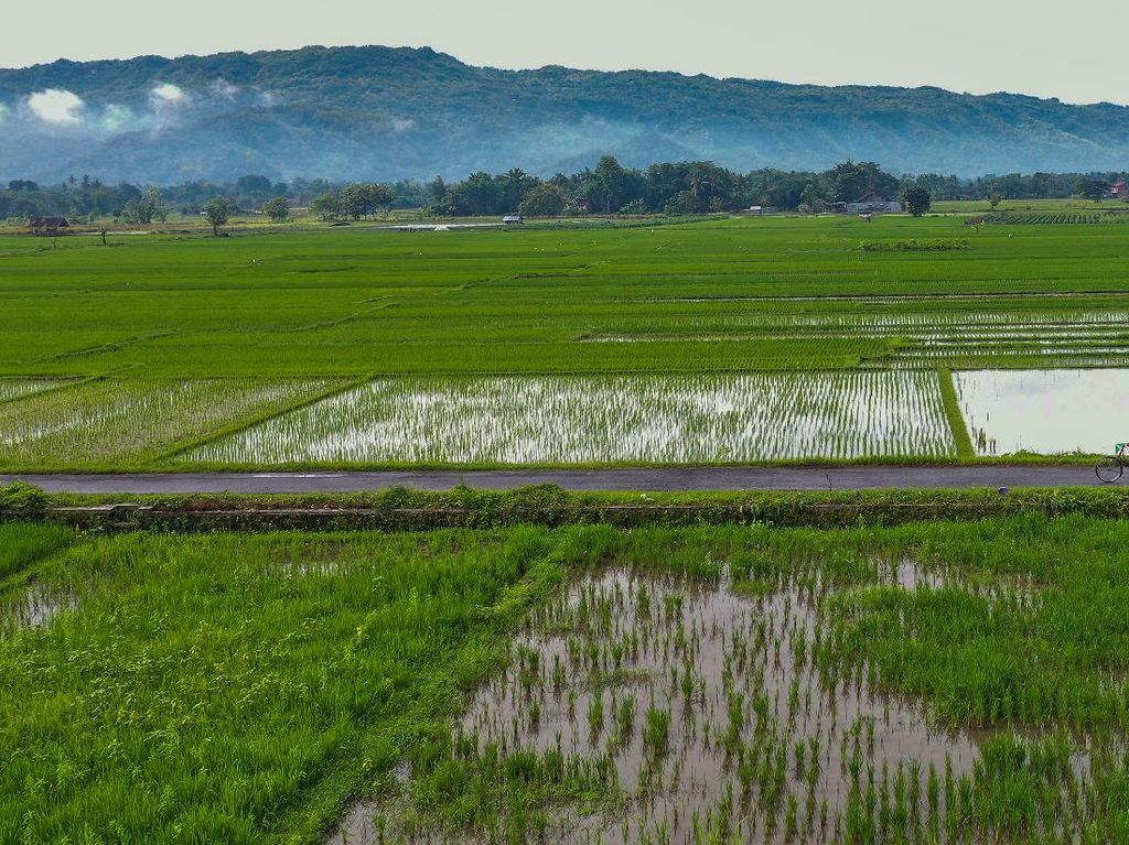 Rekomendasi 5 Desa Wisata di Bantul, Dijamin Tambah Ilmu dan Hiburan Rekomendasi 5 Desa Wisata di Bantul, Dijamin Tambah Ilmu dan Hiburan