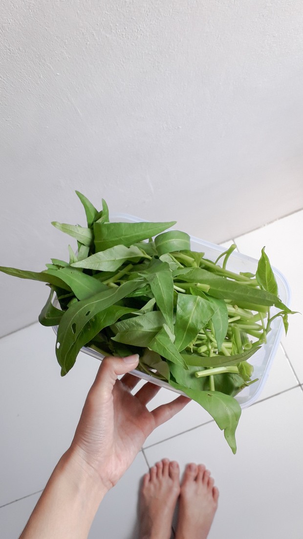 kangkung rendah kalori